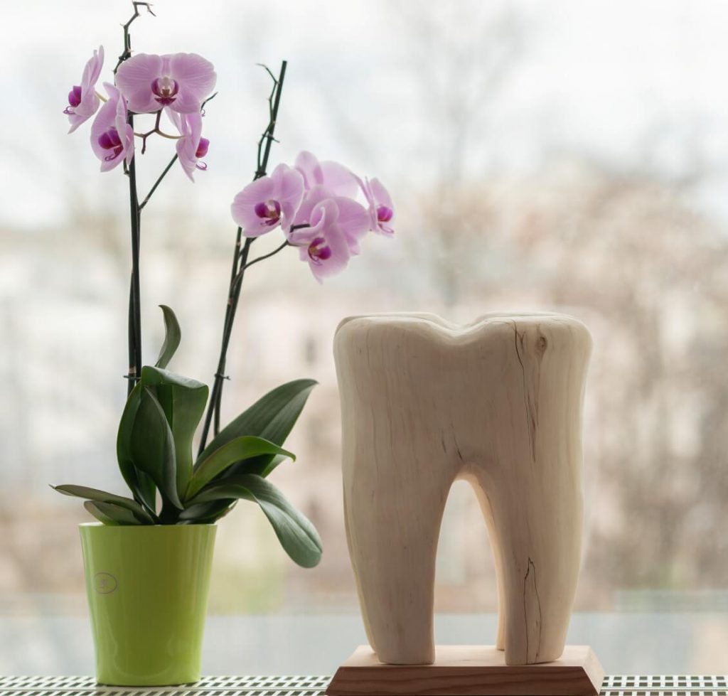 Zahnarzt Dresden Richard Vetters - Skulptur Zahn Blumen